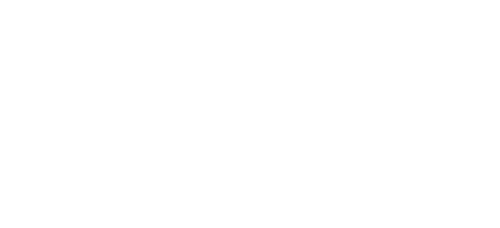 Willow Pregnancy Support Logo